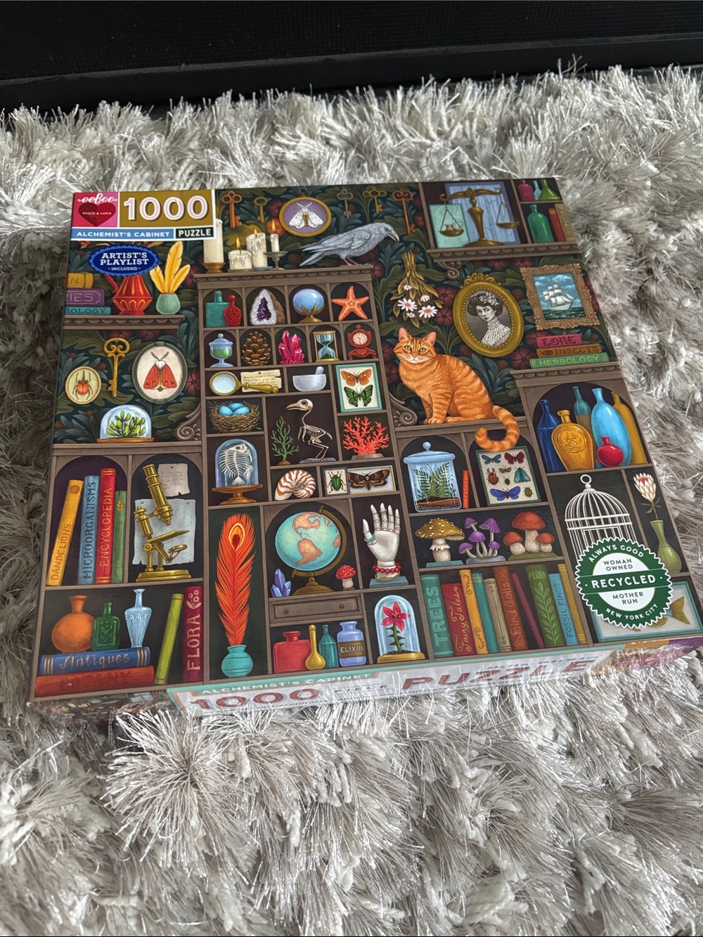 Jigsaw 1,000 Piece Puzzle 🧩🌟